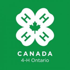 4 h Ontario