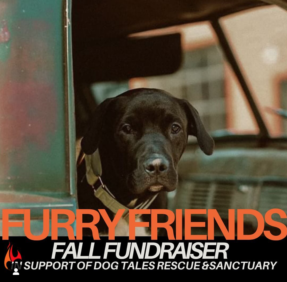 Fury Friend FundraiserOld Flame